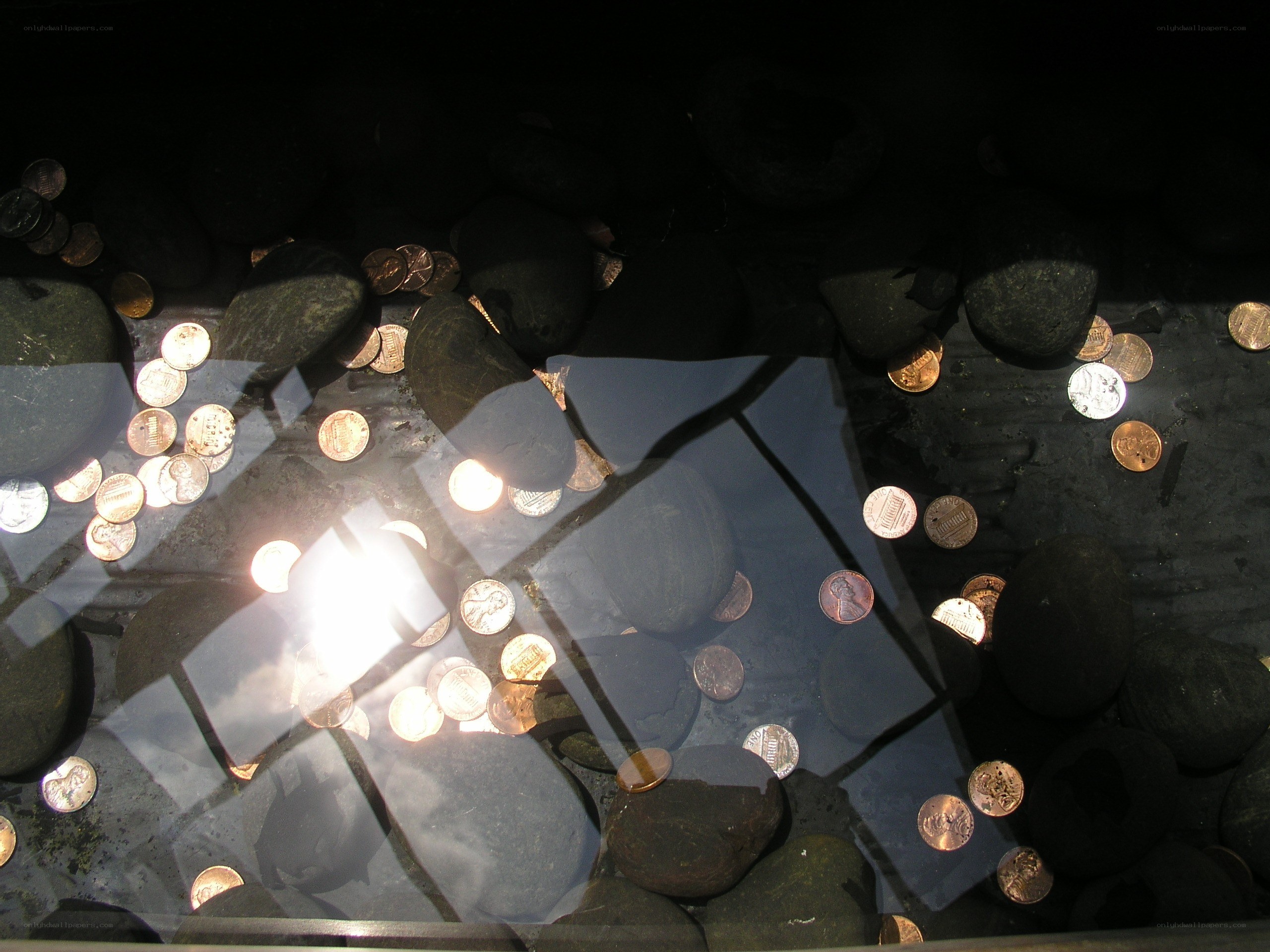 Coins in a reflective display