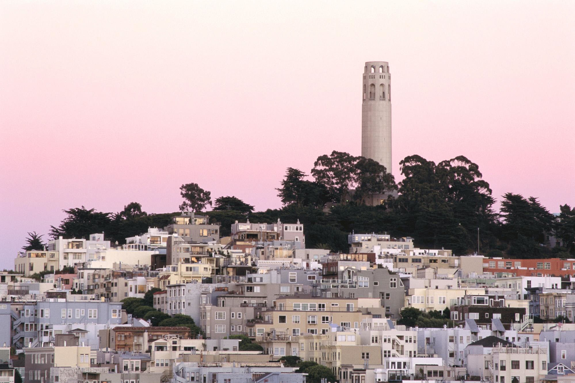 Coit Tower at dusk