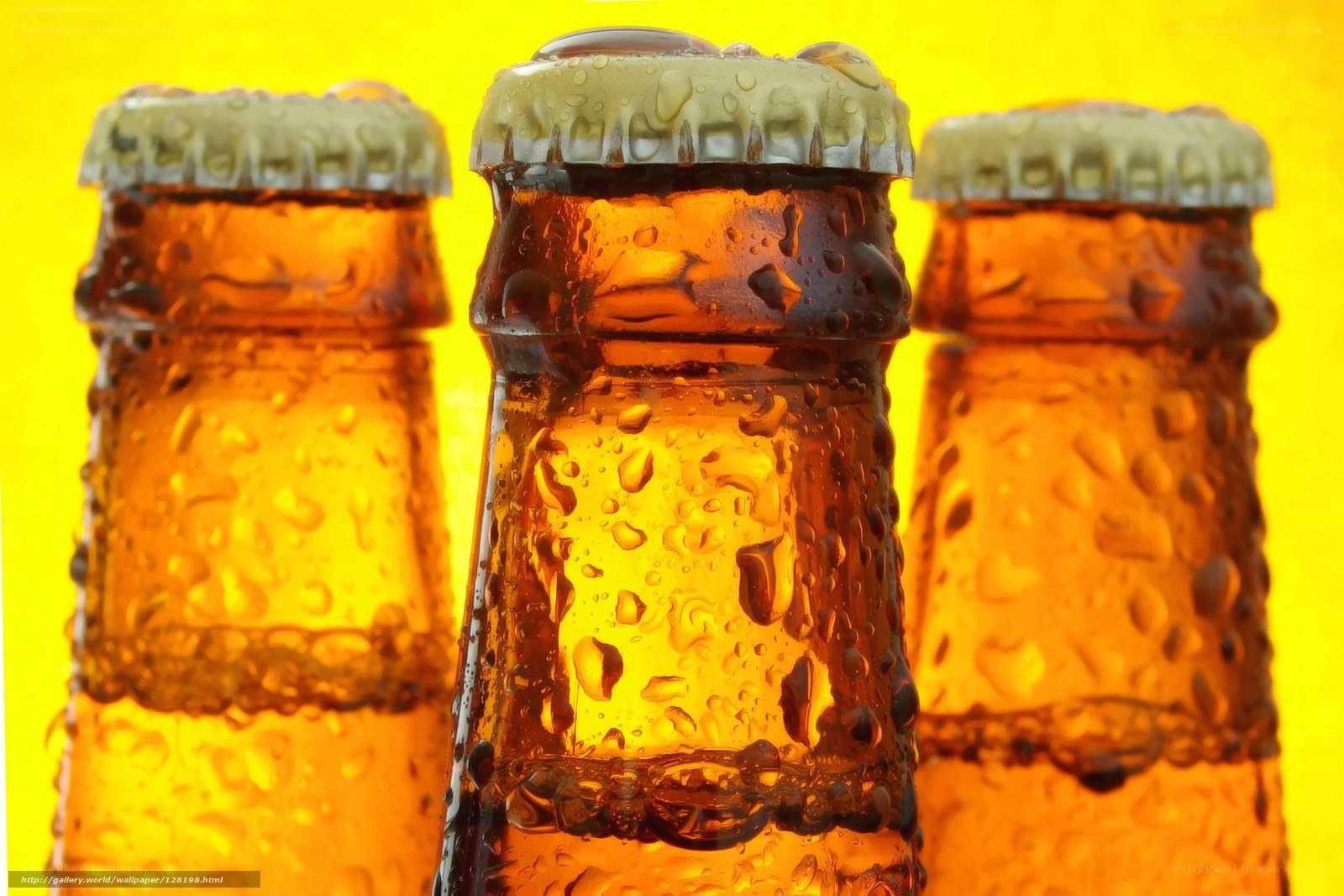 Cold beer bottles with condensation