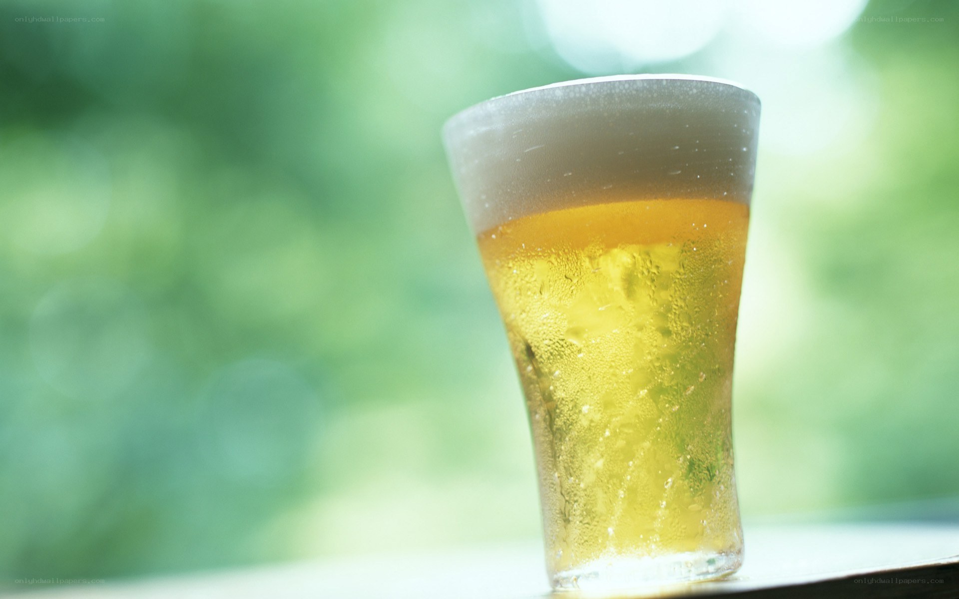 cold beer in a glass