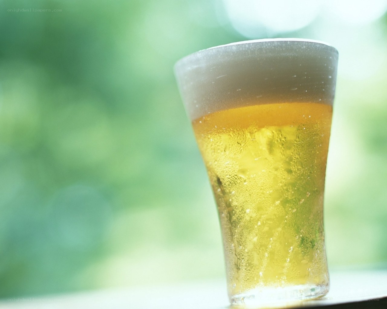 cold beer in a glass