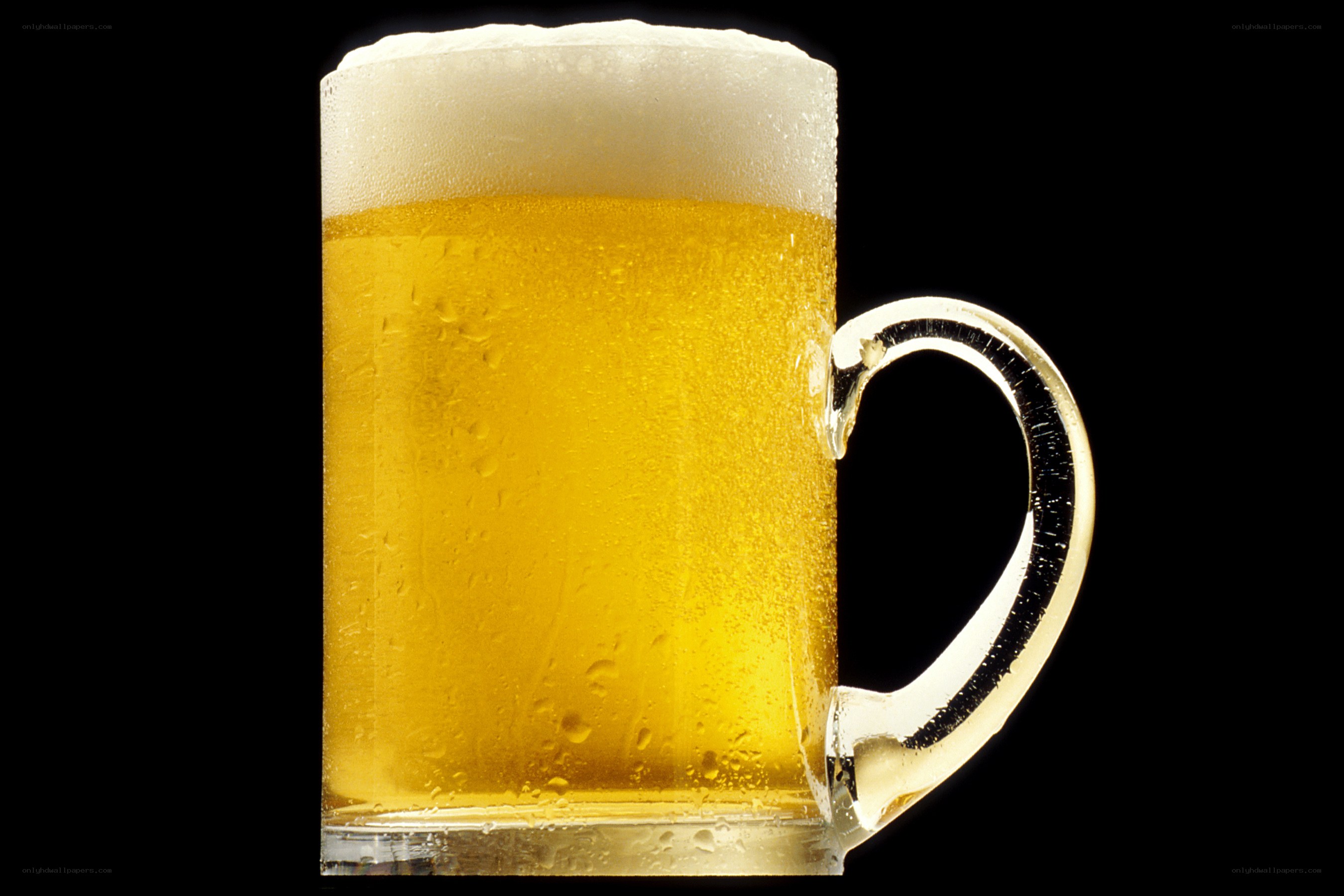 cold beer in a mug