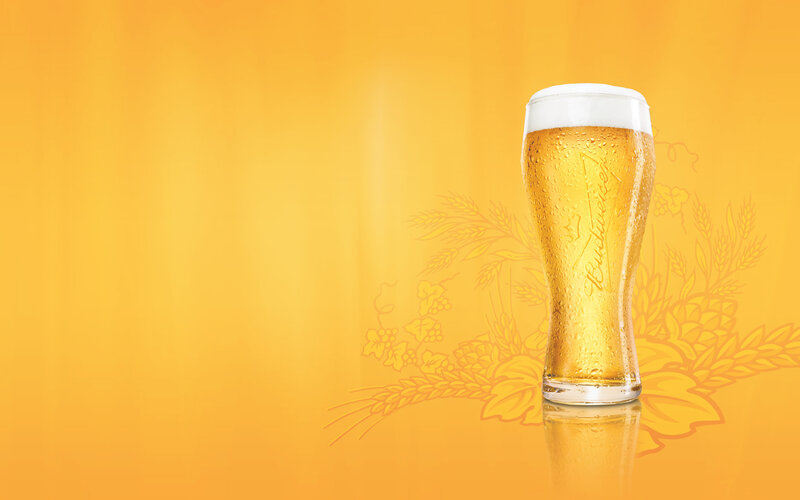Cold Beer in Glass — Yellow, Refreshing, Photograph, Foam