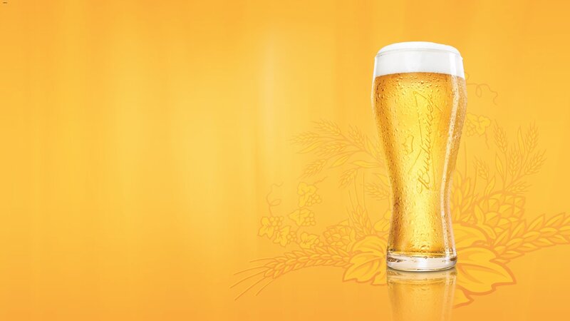 Cold Beer in Glass — Yellow, Refreshing, Photograph