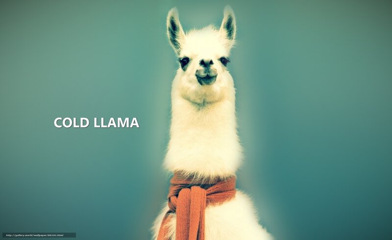 Cold Llama