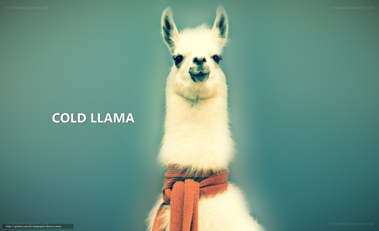 Cold Llama