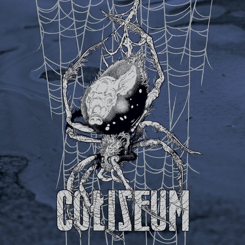 Coliseum spider artwork