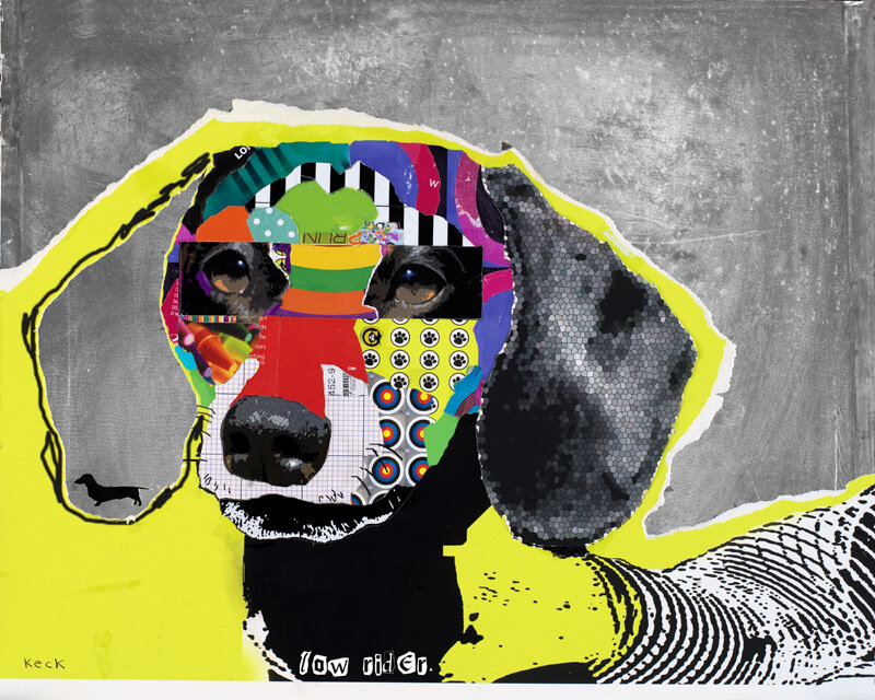 collage of a dachshund dog