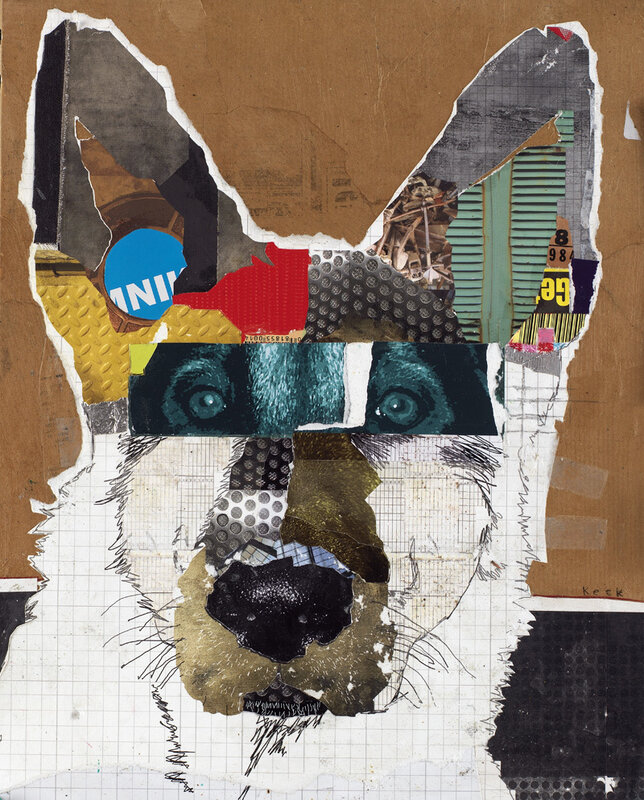 collage of a dog's face