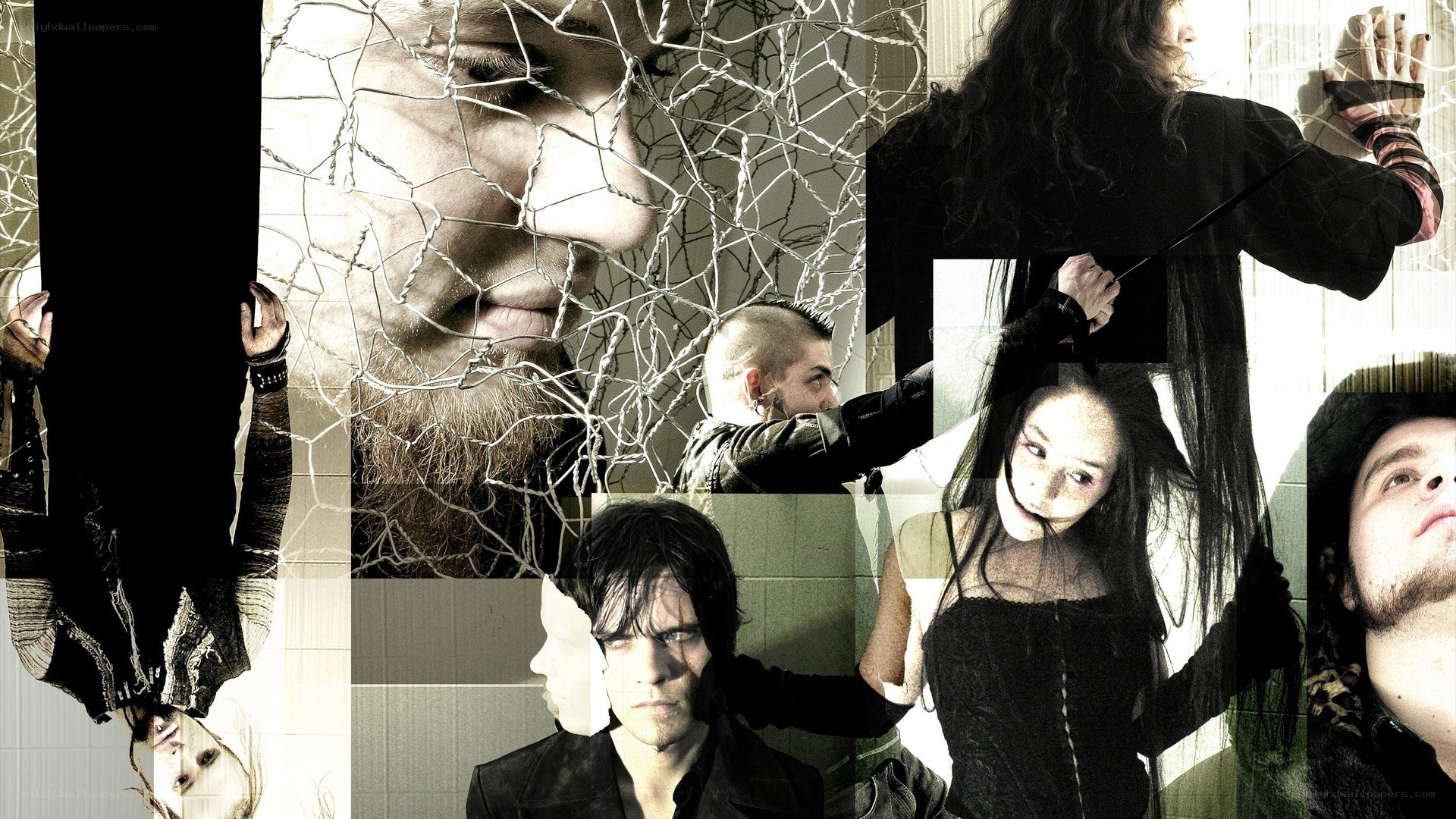 collage of band members