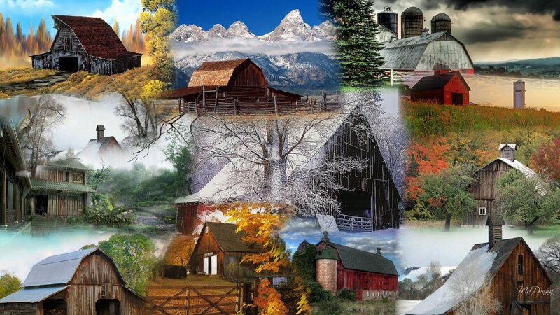Collage of barns in different seasons
