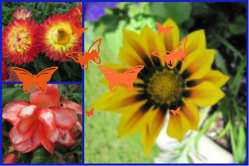 Collage of Flowers and Butterflies