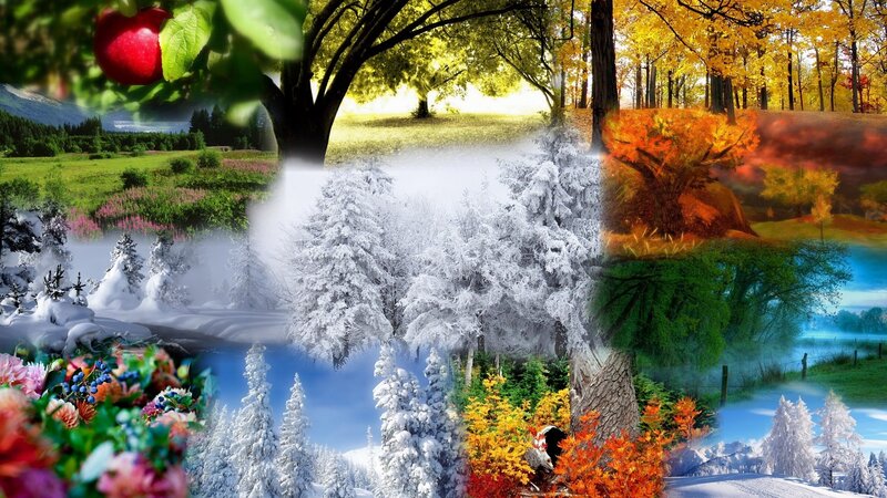 Collage of Four Seasons