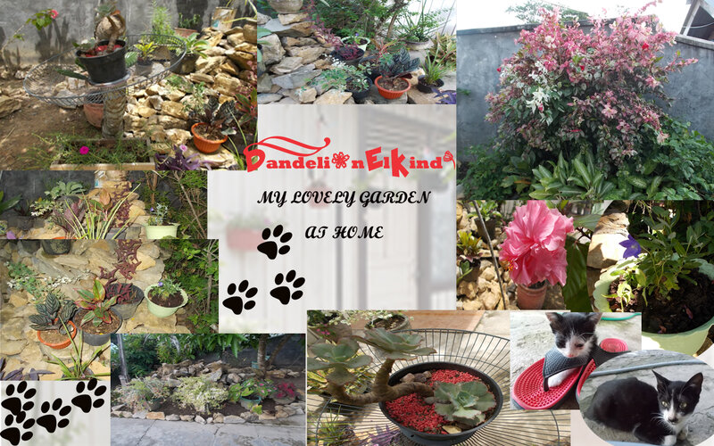 Collage of Garden Plants