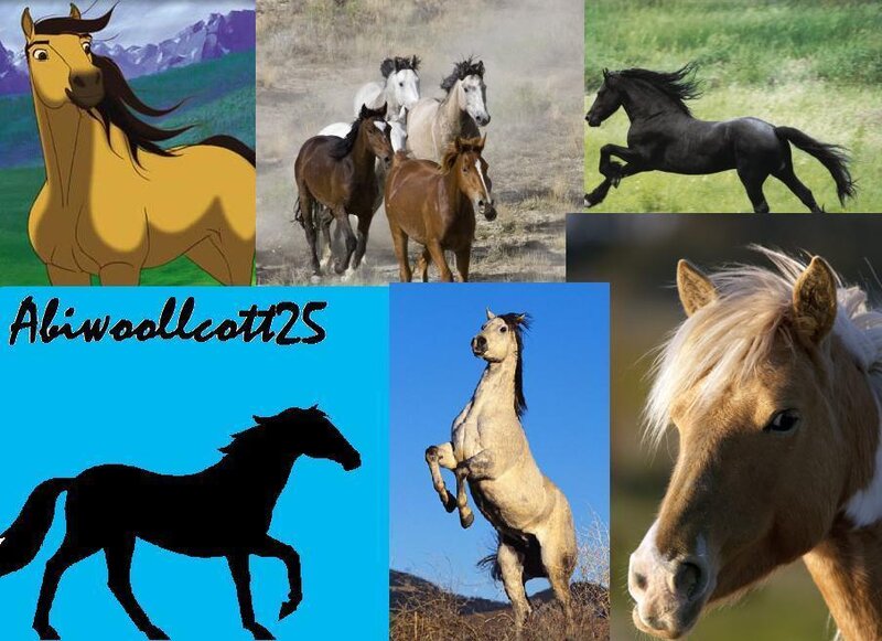 Collage of Horses