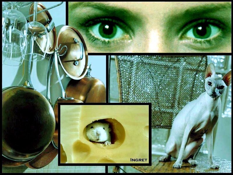 Collage of kitchen and animals