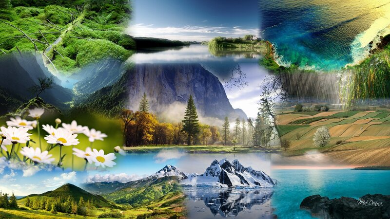 Collage of Natural Landscapes