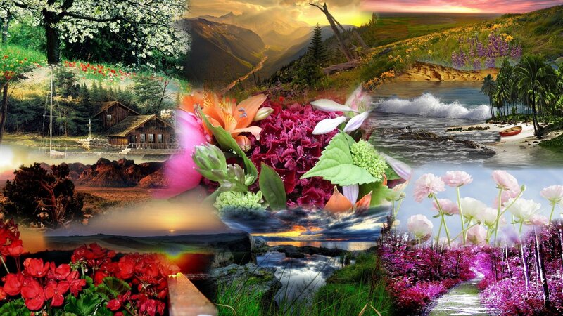 collage of nature scenes
