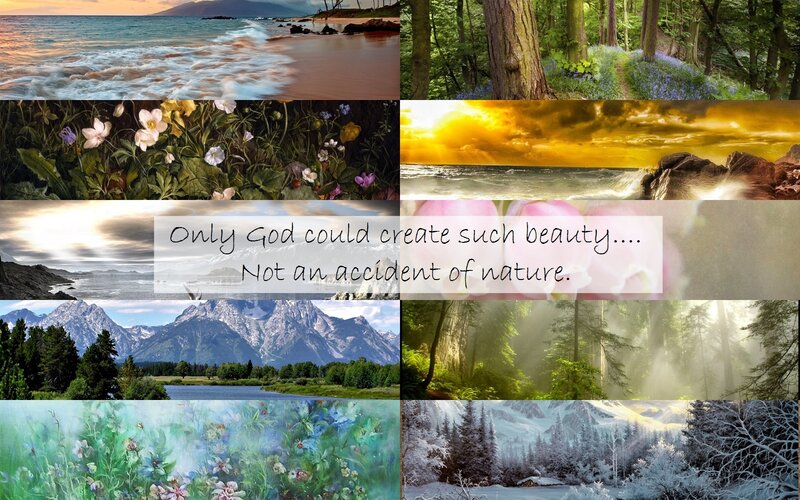 Collage of Nature Scenes — Green
