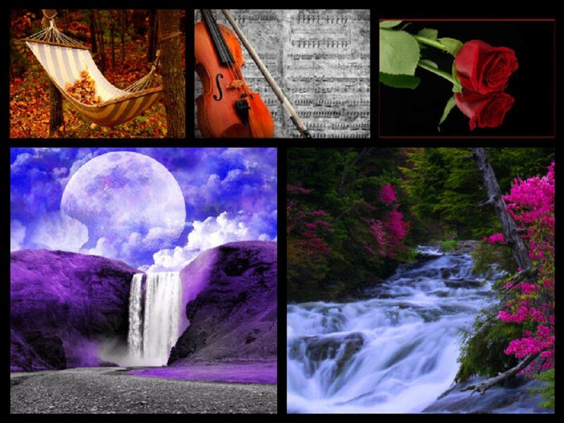 Collage of Nature Scenes — Purple