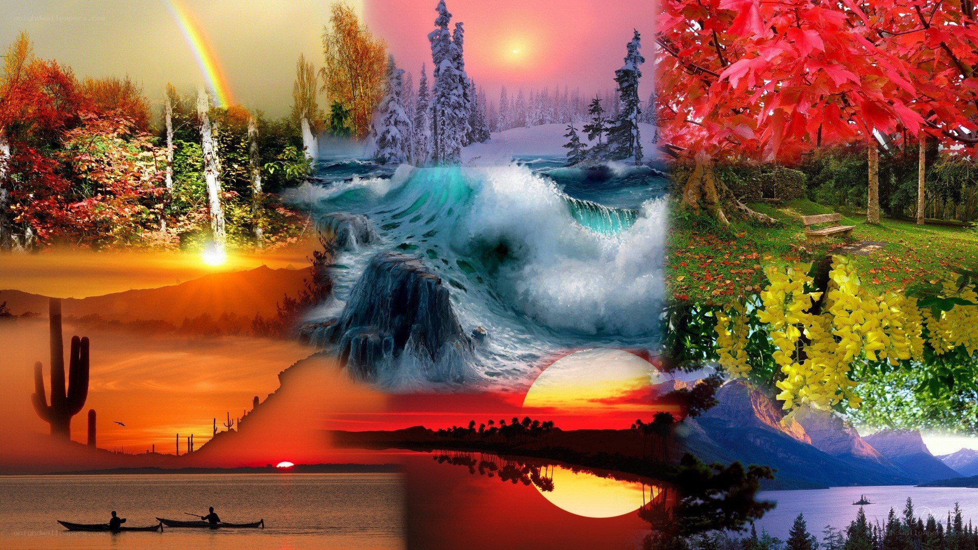 collage of nature scenes