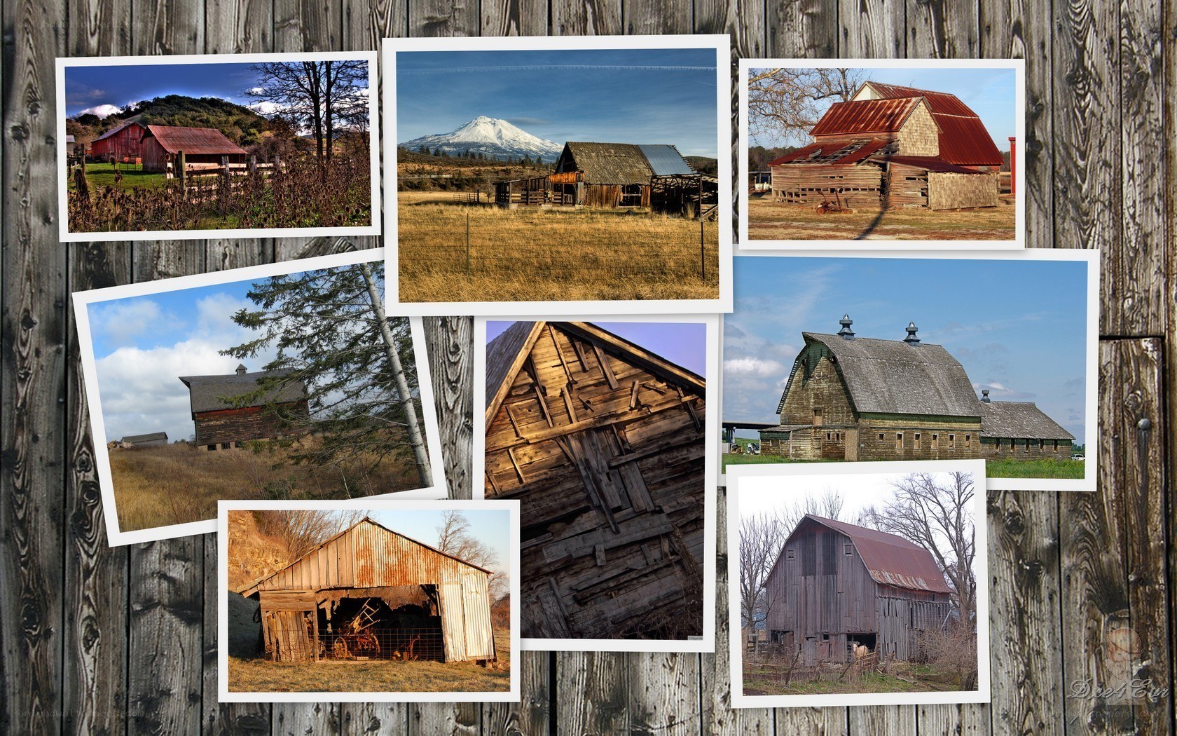 Collage of old barns