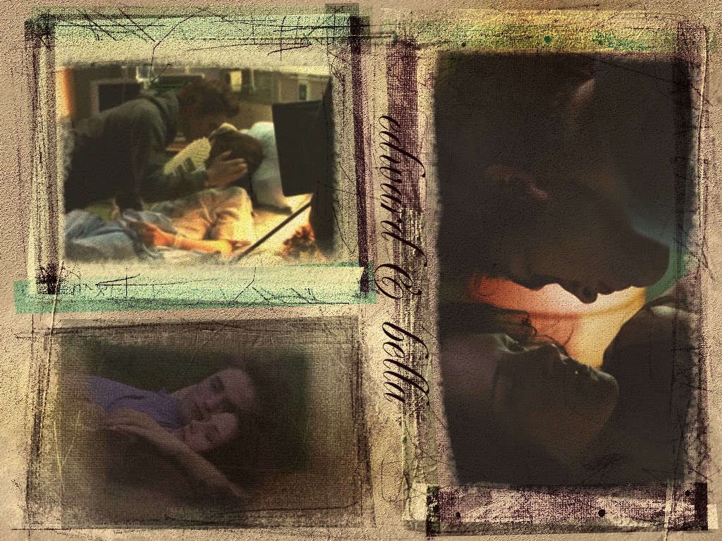 collage of romantic scenes
