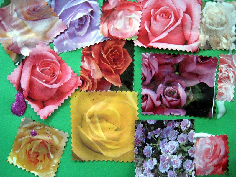 Collage of Rose Images