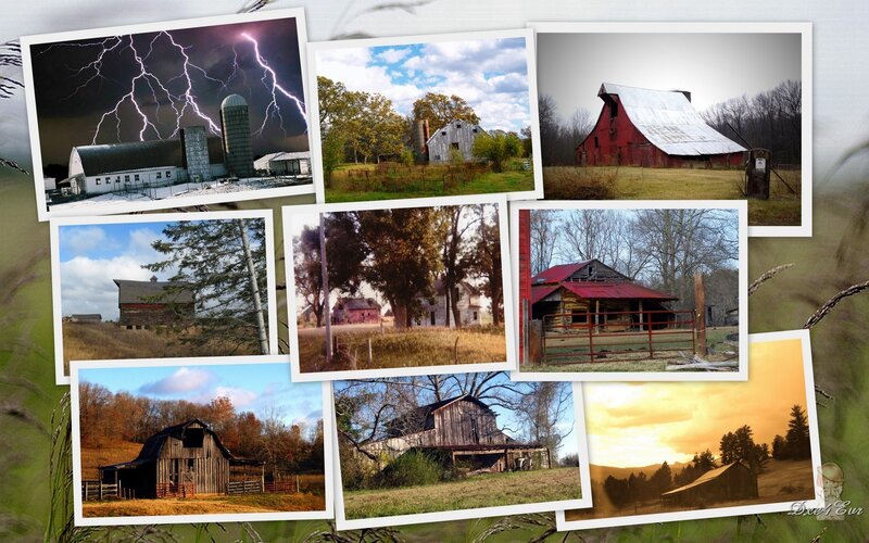 Collage of rural barns