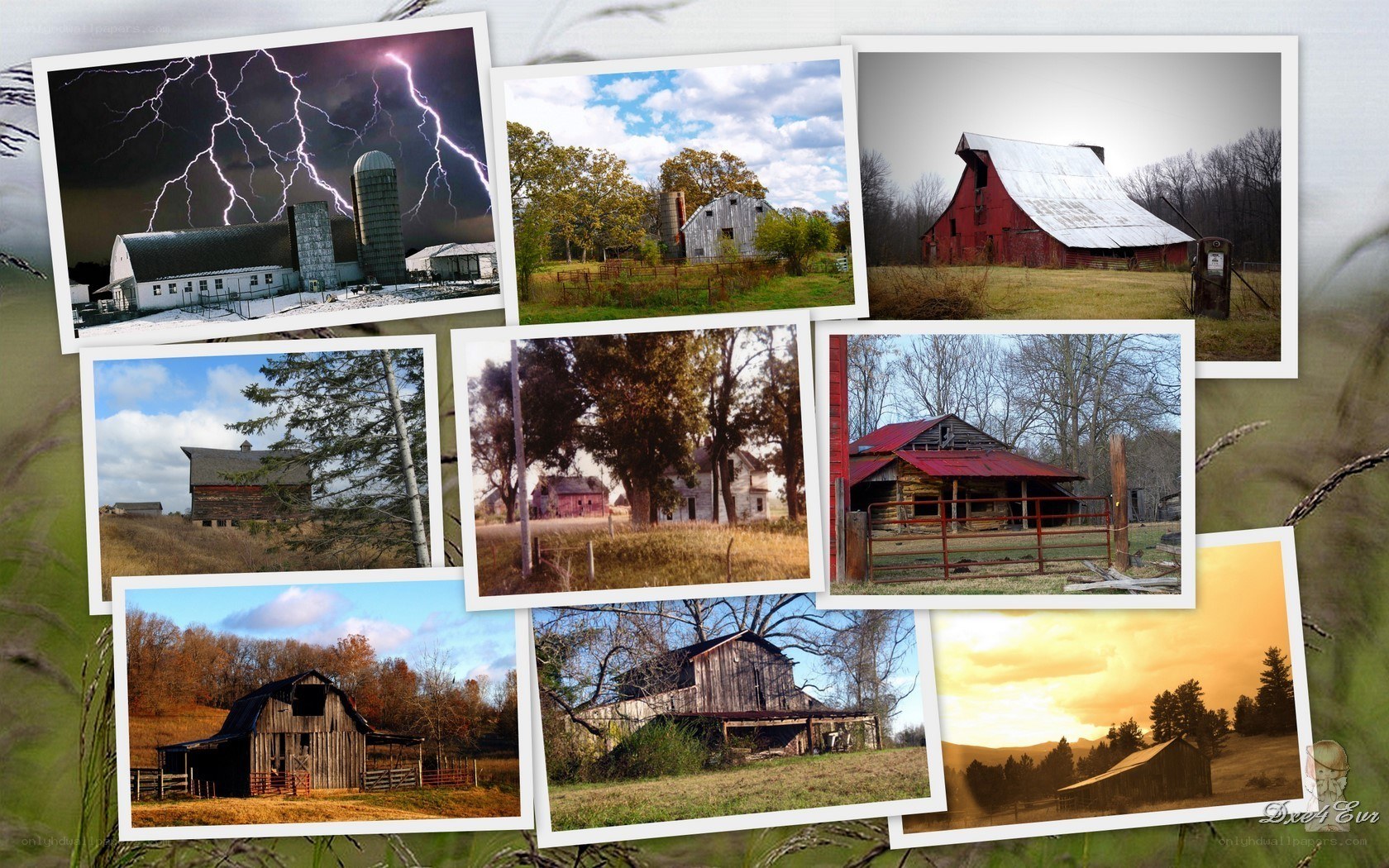 Collage of rural barns