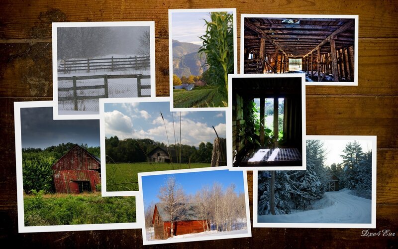 Collage of rural farm scenes