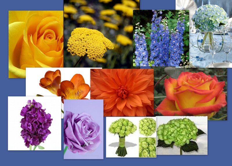 Collage of Various Flowers