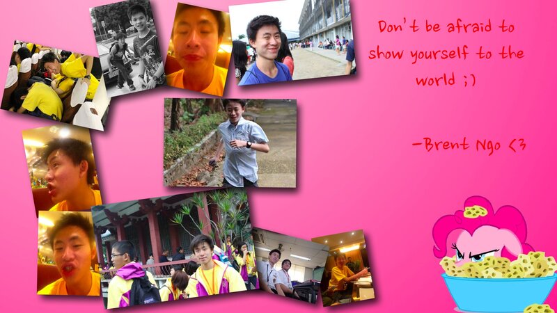 Collage of Young Man Photos