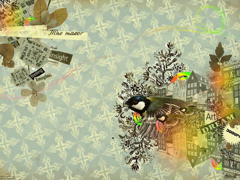 collage with birds and city