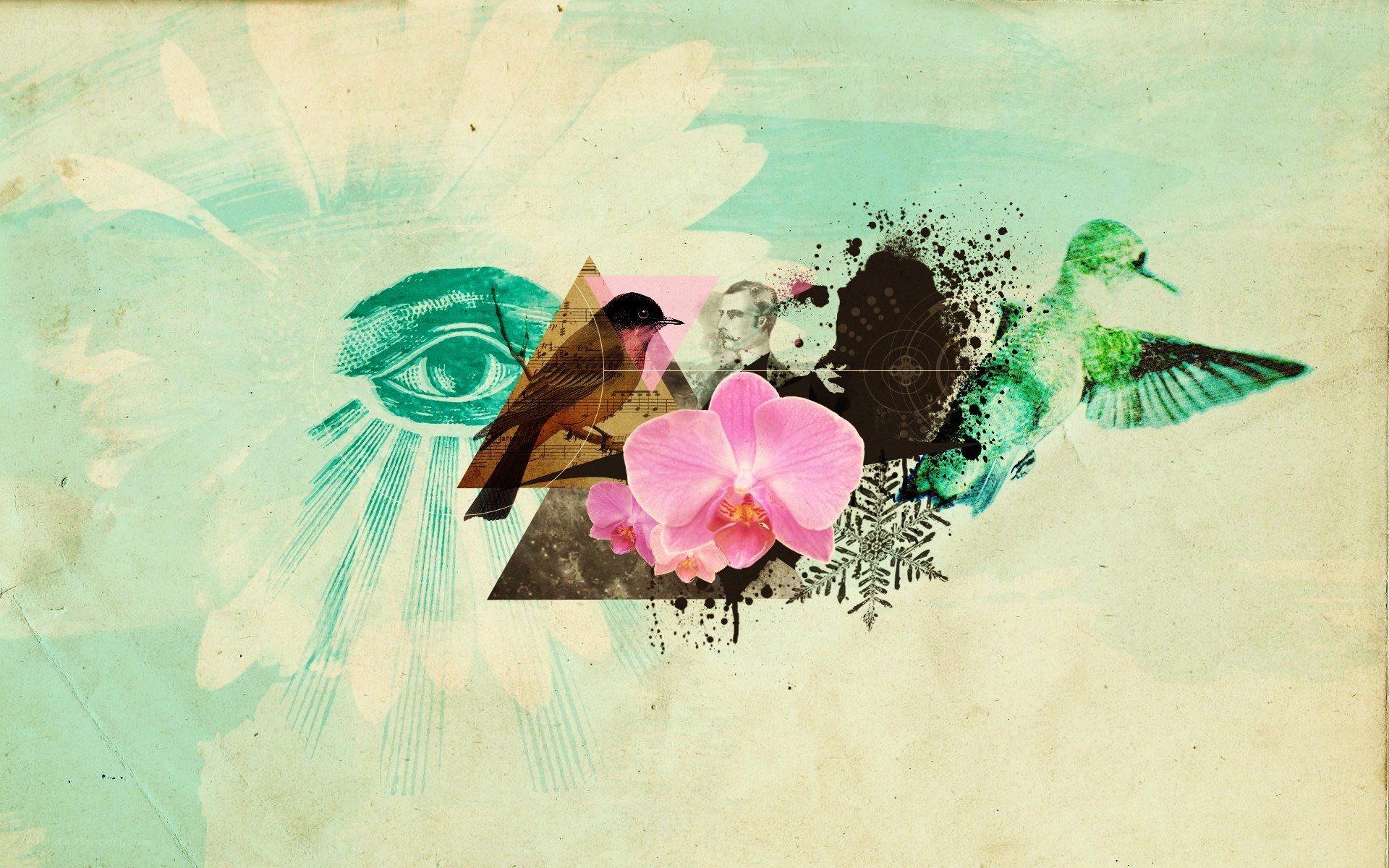 collage with birds and flower