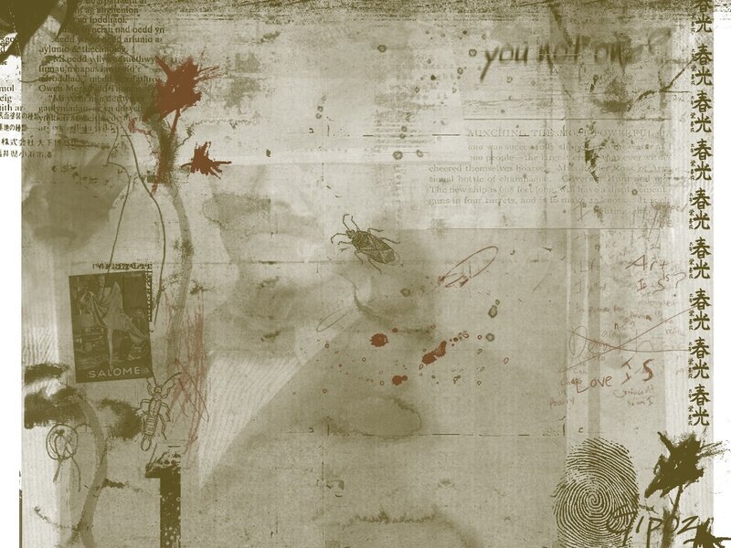 collage with insect and text