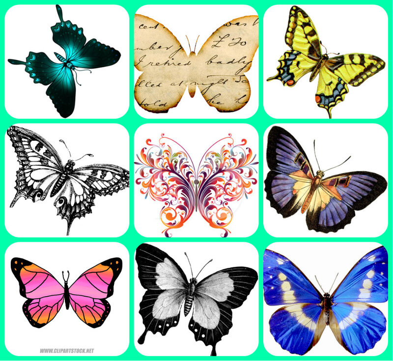 Collection of Butterfly Images
