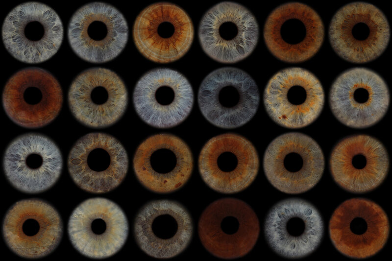 collection of iris patterns