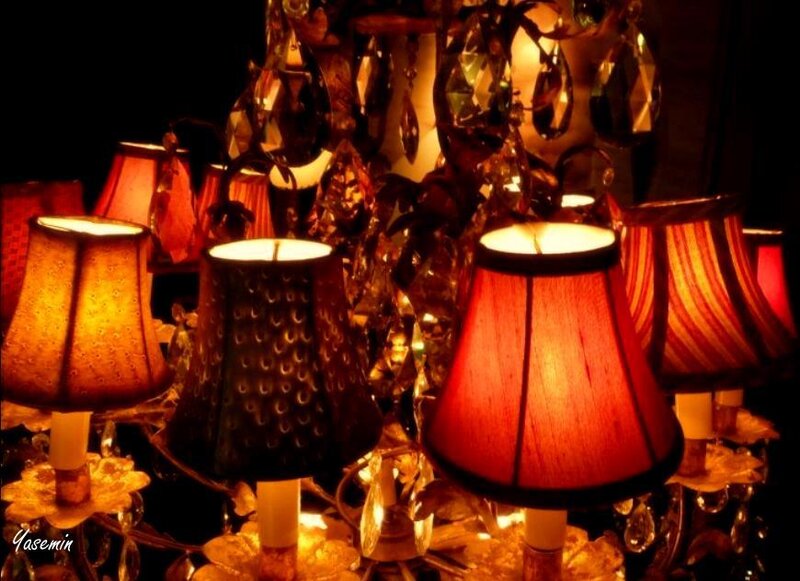 Collection of Lit Lamps