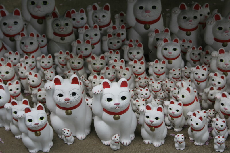 collection of maneki-neko figurines