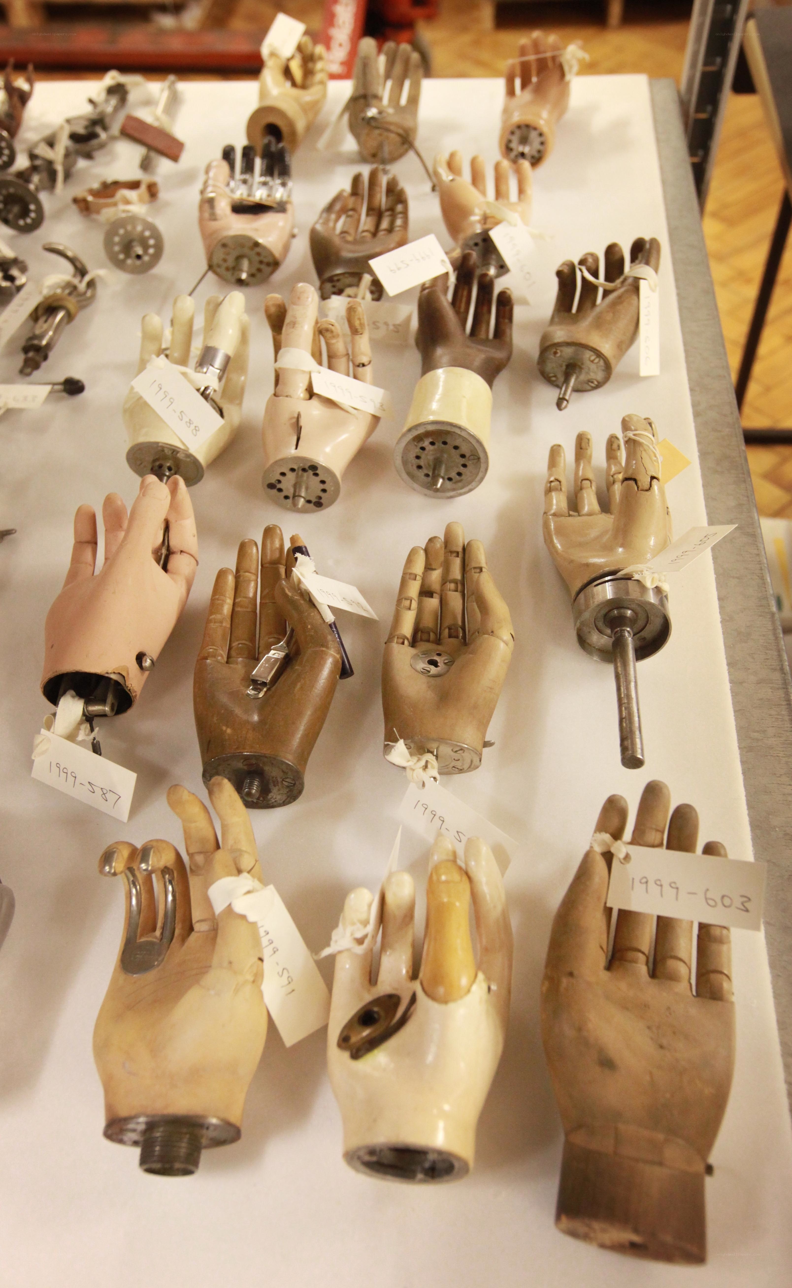 collection of prosthetic hands