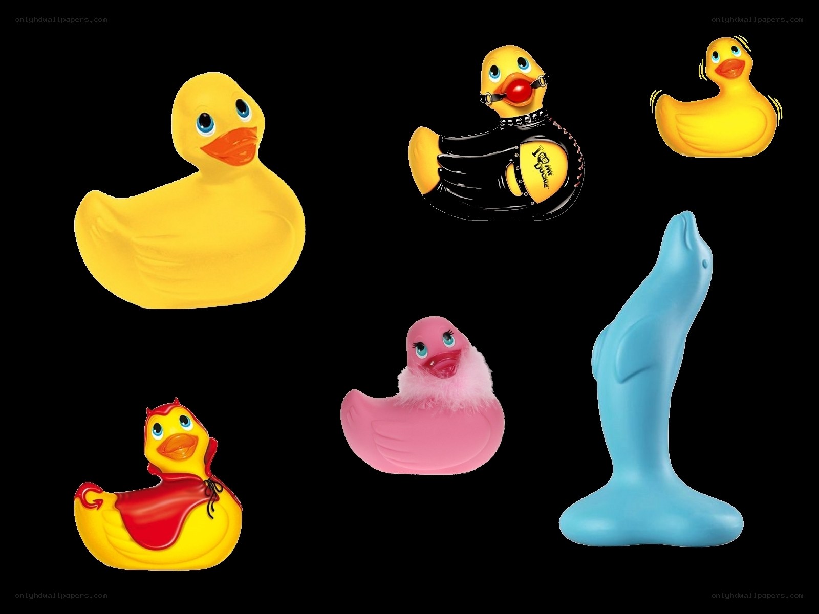 collection of rubber ducks