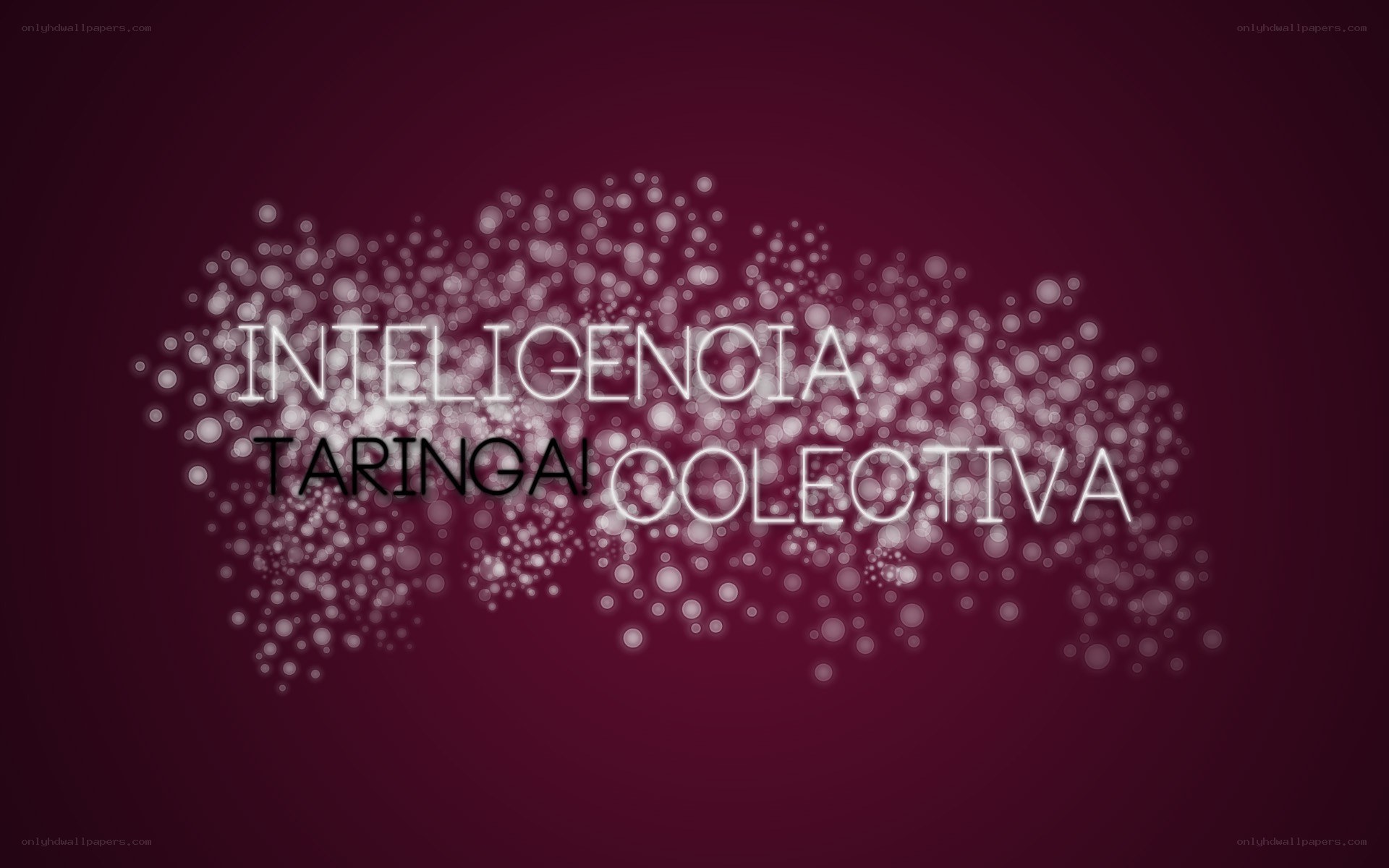 Collective Intelligence Taringa