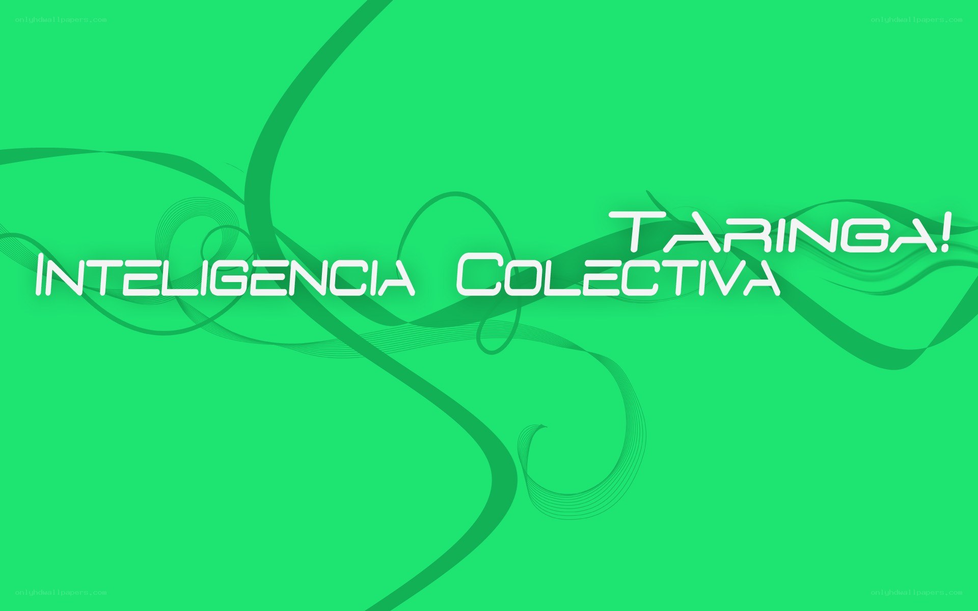 Collective Intelligence Taringa