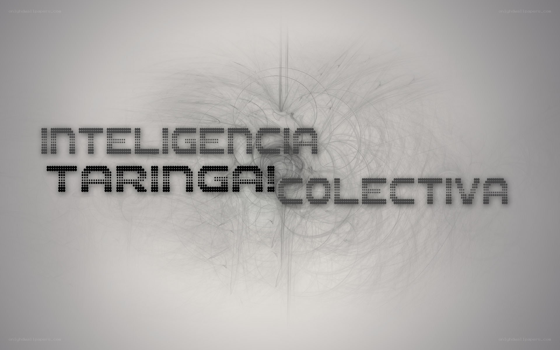 Collective Intelligence Taringa