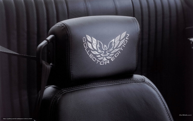 Collector Edition car seat