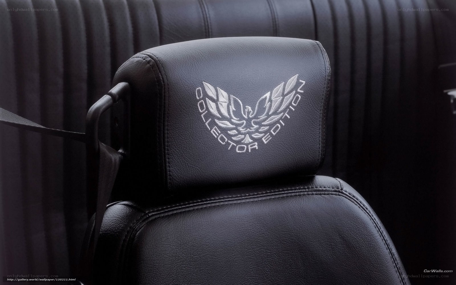 Collector Edition car seat