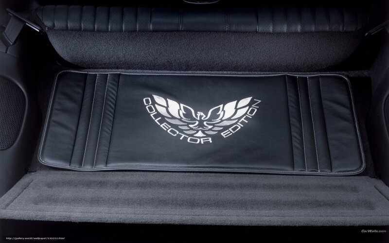 Collector Edition car trunk