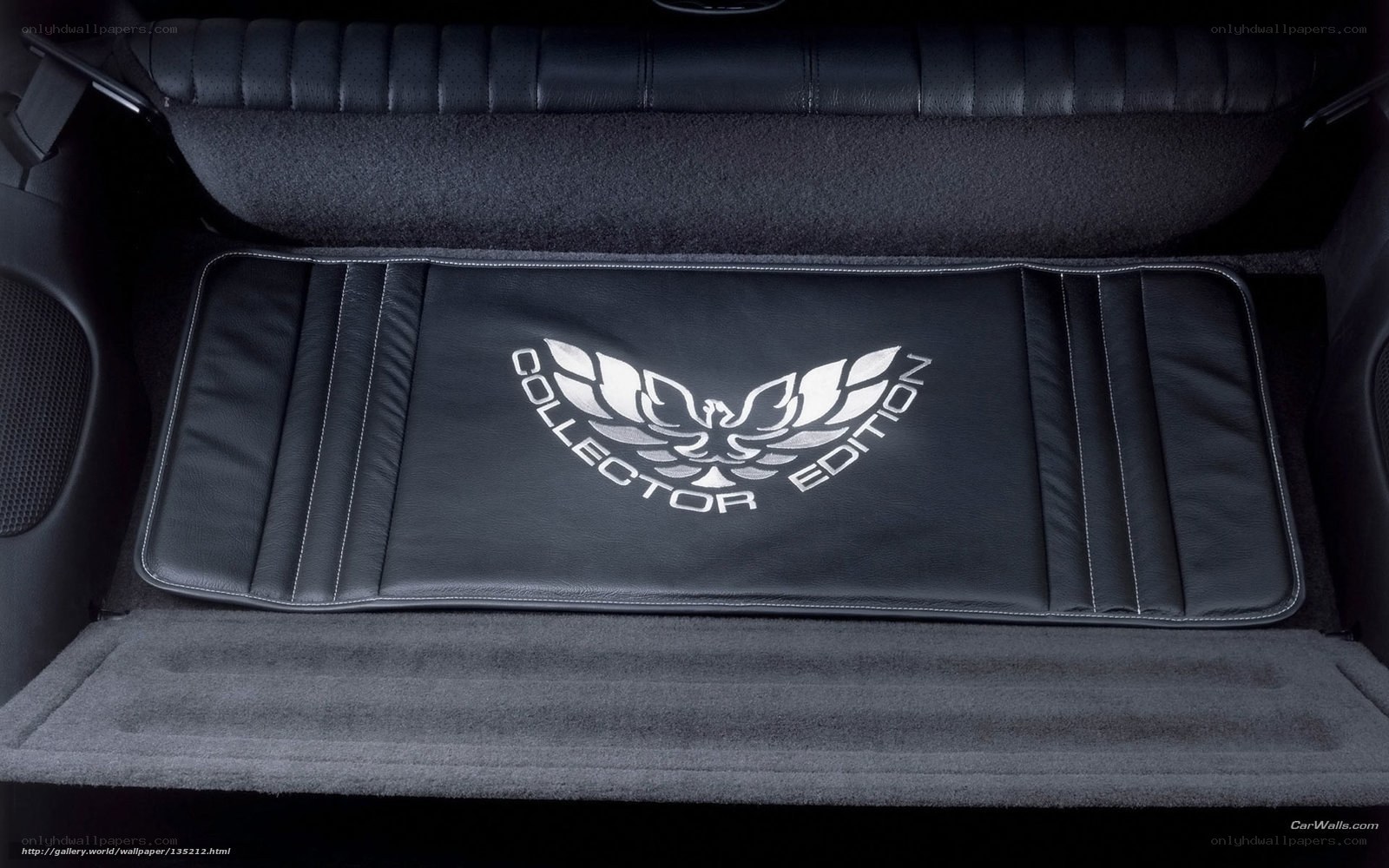 Collector Edition car trunk