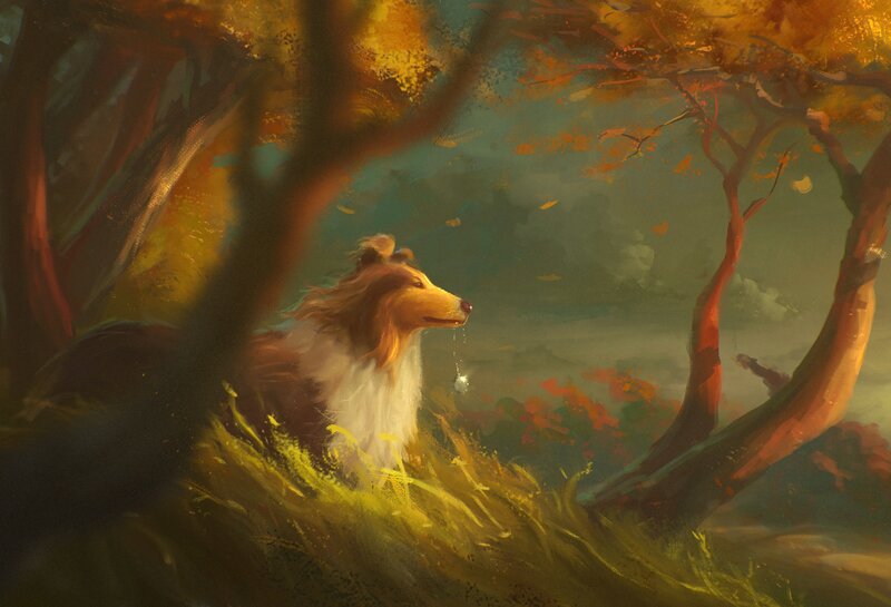 Collie Dog in Forest — Yellow